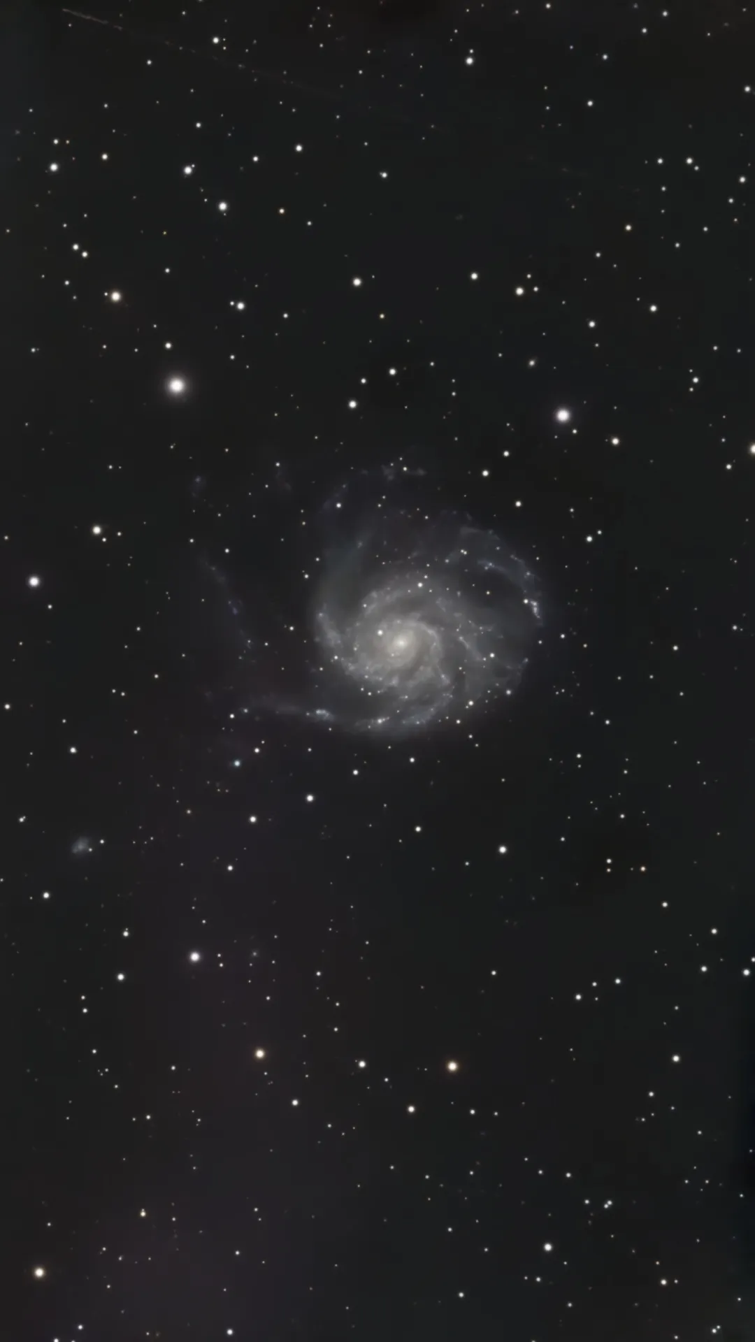 Pinwheelgalaxen M101 fotograferad med Seestar smart-teleskop från Bortle 6-himmel
